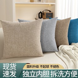High-End Sofa Throw Pillow, Living Room Cushion, Chair Lumbar Support, Bed Headrest Cushion, Pillow Cover Without Insert, Removable and Washable, Square Shape