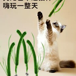 Dog Tail Grass Cat Teaser Stick Self-Entertainment Boredom-Relief Cat Toy Durable Scratch-Resistant Bite-Resistant Long Rod Cat Teaser Gadget for Kittens and Adult Cats
