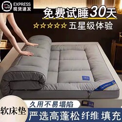 Five-Star Hotel Style Mattress Soft Cushion Home Use Tatami Bed Mat Student Dormitory Single and Double Mattress Pad