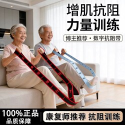 Drawstring Resistance Bands, Elastic Bands, Resistance Bands for Muscle Growth, Specialized Exercise for Middle-Aged and Elderly People, Glute Muscle and Leg Muscle Training