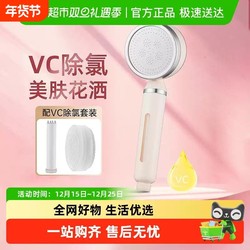 Pressurized Shower Head Set for Home Bathroom Water Heater, Shower Bath, Pressurized Showerhead, Rain Shower, Showerhead Set