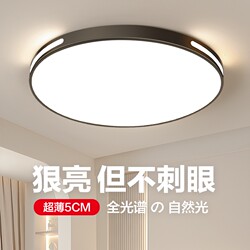 Led Ceiling Light, Modern and Simple, Stylish Bedroom Room Light, Full Spectrum Eye Protection, Home Living Room Light, Zhongshan Lighting Fixtures