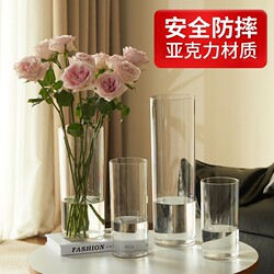 Acrylic Anti-Fall Vase for Hydroponics, Flower Arrangement, Lucky Bamboo, Transparent Straight Acrylic Vase for Fresh Flowers, Small Decoration for Living Room