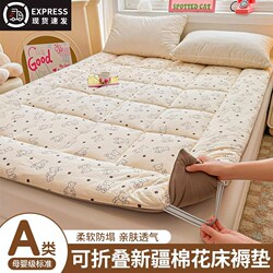 Winter Thermal Mattress Pad, Waterproof Cotton Mattress for Dormitory, Non-Slip, Foldable