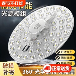 Ceiling Light Led Lamp Core Replacement Panel Retrofit Light Strip Chip Lamp Beads Energy-Saving Ultra-Bright Round Light Source Module