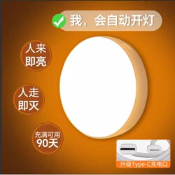 2026 New Model Human Body Sensor Light That Automatically Lights up at Night, Smart Voice-Controlled Rechargeable Night Light for Home Corridors and Hallways