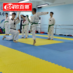 Oubaina Taekwondo Floor Mat, Dance Martial Arts Training Mat, Fighting Sanda Boxing Mat, Shockproof Fitness Floor Mat