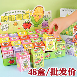 Back-To-School Gifts, Student Rewards, Small Practical DIY Plant-Growing Blind Boxes, Kindergarten Children's Activity Prizes