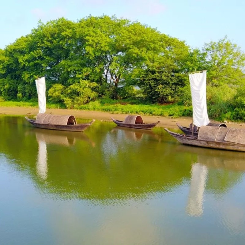 丽水云和梯田九曲云环+白银谷+古堰画乡+1人起订含门票一日游