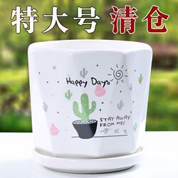 Nordic Style Flower Pot, Simple Indoor Ceramic with Tray, Special Price, Large Size, Clearance Sale, Unique Design for Hanging Plants and Green Plants, White Pot