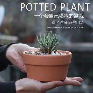 Qingcang Red Pottery Pot Pottery Tile Pot Rough Ceramics Blood Blood Blood Blood -Active Merk Ceramics Green Purgically Orchid Basin Specials Free Shipping