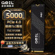 geil Jinbang P4H solid state drive 4t2t1t512G desktop computer notebook m2 solid state drive PCie4