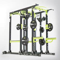 Authentic Dhz Big Beard E6241 Squat Trainer Free Weight Bench Press Gym Professional Fitness Equipment Gantry Rack