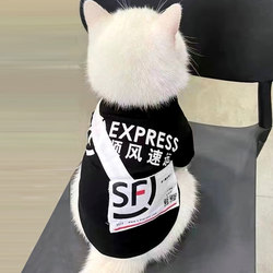 Cat Clothes, Delivery Backpack, Thin Style for British Shorthair, Ragdoll, Blue Cat, Silver Gradient Kitten, Pet Dog Funny Outfit