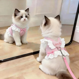 
Cat leash anti-breakaway lace bustier skirt sweet and breathable cat leash cute clothes for kittens to go out