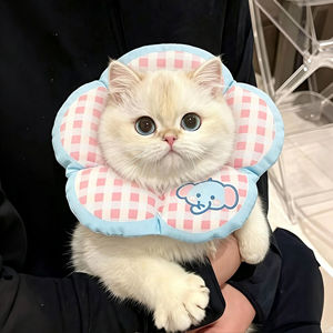 伊丽莎白圈猫咪绝育柔软项圈可调节头套幼猫小型犬防舔咬神器脖圈