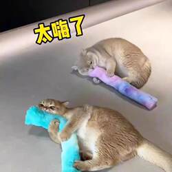 Cat Toy Self-Entertainment Boredom-Relief Teaser Wand Devon Rex Golden Tabby Kitten Energy-Consuming Gadget Teeth-Grinding Pet Pillow