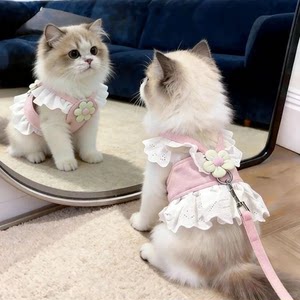 猫咪牵引绳防挣脱外出专用胸背舒适透气防走丢遛猫绳宠物狗狗用品
