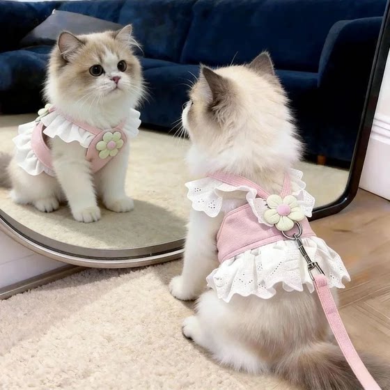 Cat leash to prevent break-away, special chest and back for going out, comfortable and breathable, anti-lost cat leash, pet and dog supplies