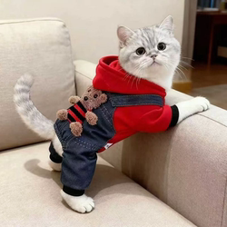Cat Clothes Winter Wear Anti-Shedding Thickened Warm Ragdoll Golden Tabby Blue Cat Kitten Pet Puppy Four-Legged Clothing