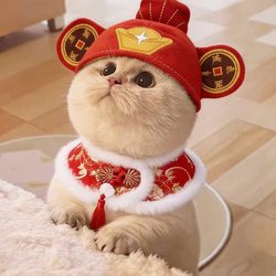 Pet Cat and Dog Fortune Hat, Funny Ingot Head Costume, Dress up as the God of Wealth, Winter Lucky Cat Headgear