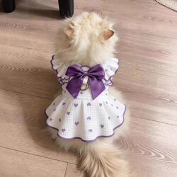 Cat Clothes Spring and Summer Thin Breathable Dress Anti-Shedding Ragdoll British Shorthair Devon Cat Pet Dog Clothes
