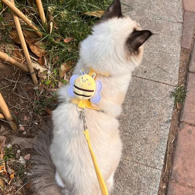 Cat leash for outings, anti-breakaway I-shaped cat walking rope, kitten ...