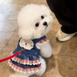 Dog Clothes Cherry Denim Harness Skirt Pet Harness Cat Princess Dress Thin Style for Small Dogs Like Teddy to Prevent Shedding