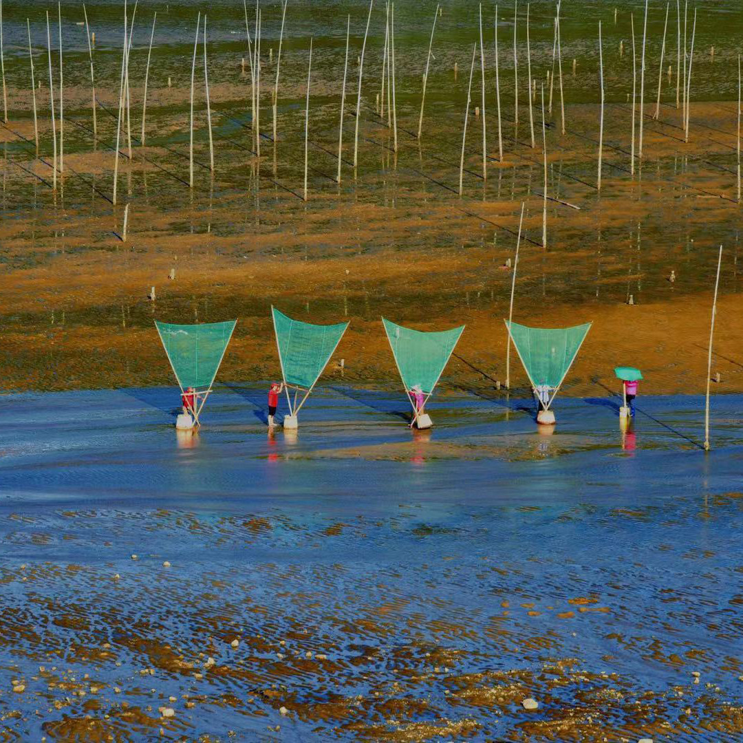 福建霞浦滩涂2天1晚 旅游摄影 2人成团 天天发团