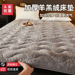 Lamb Wool Mattress Pad, Winter Warm and Thickened Mattress, Single-Person Rental-Specific, Home-Use Double Tatami Mat
