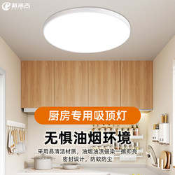 Kitchen Ceiling Light, Oil-Proof, Insect-Proof, Three-Proof Light, Simple and Modern, Bathroom, Balcony Lighting Fixtures