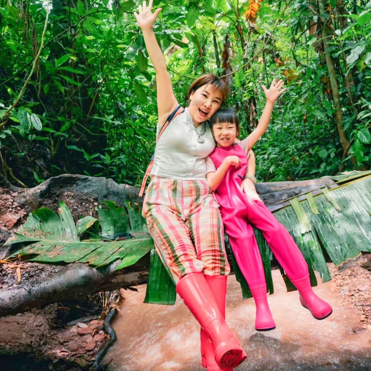【雨林童趣9人小团】西双版纳旅游6天5晚野象谷原始森林 往返机票