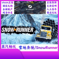 Steam Genuine Snowrunner Car Simulation Racing Game Global Region New Account