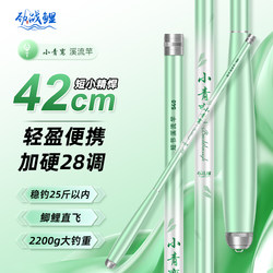 Fishing Rod for Carp and Small Fish, Ultra-Light and Ultra-Short Rod for Stream Fishing, Small Object Wild Fishing Rod
