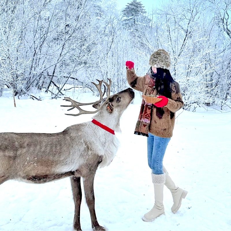 吉林长春出发长白山延吉图们珲春防川雪乡哈尔滨旅游7天6晚私家团