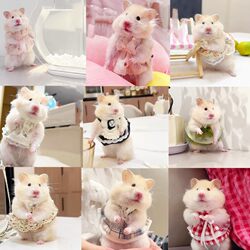 Hamster winter clothes, hamster cute clothes, skirts, interesting shapes, small pet sweaters, golden bear flowers