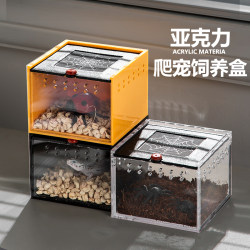 Climbing pet breeding box Acrylic snail geese snake scorpion lizard spider horn frog snake silkworm lizard insect feeding box
