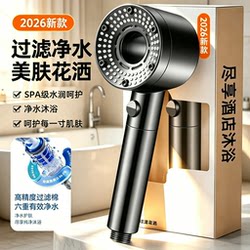 Filter Showerhead Purifier Filter Cartridge Travel Shower Replacement Booster Home Shower Handheld Set