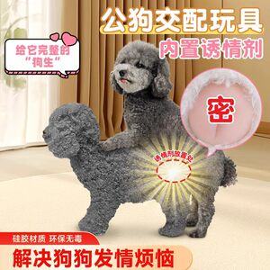 
Bichon Teddy Dog In estrus Toys Male Dog Mature Puppy Self-Education Sexual Partner Bitch Factory Direct Hair