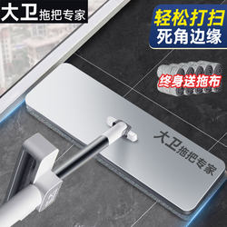 David Flat Mop Official Genuine Mop 2026 New Model for Home Use, the First Choice for Home Use, One Mop for Both Dry and Wet Use