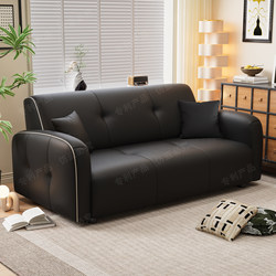 Sofa for Living Room, Small Apartment, Italian-Style Light Luxury, Eco-Leather, Modern Minimalist, Straight-Line Design, Suitable for Clothing Store, Apartment, Commercial Use, Small Sofa