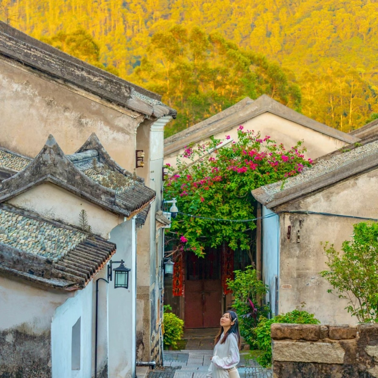上门接送【深圳私家团一日游】桔钓沙+鹿嘴山庄等景点可选+赏夜景