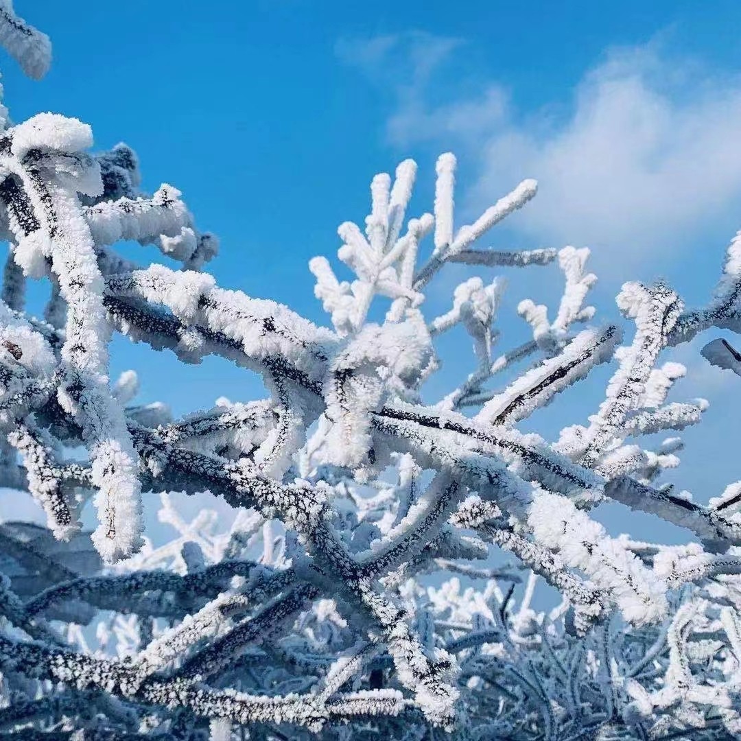 冬日爆款【冰雪云冰山+莽山五指峰2天】雾淞冰挂+悬空栈道-纯玩