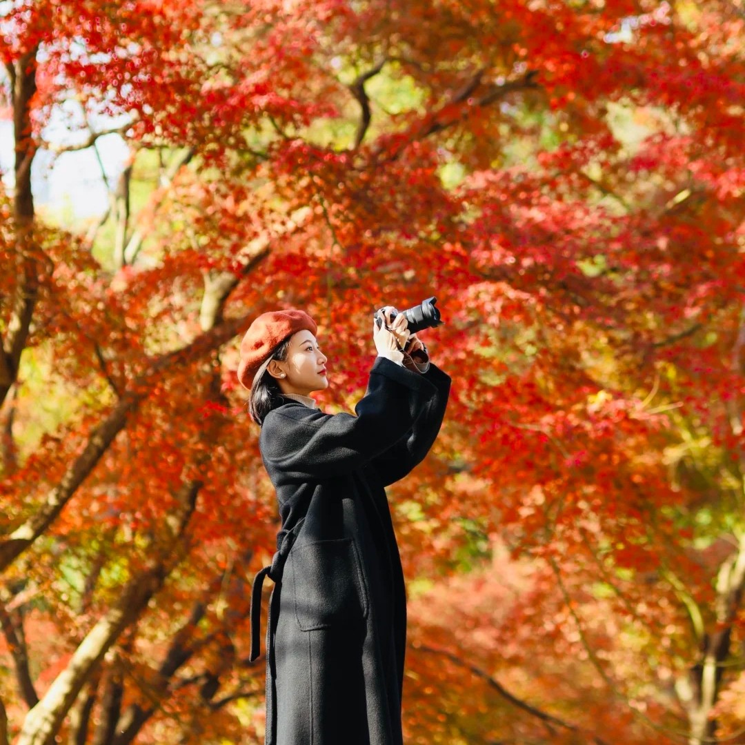 元旦【清远小江银杏村+蓝山谷红枫2天】漫步湘江大峡谷+万山朝王