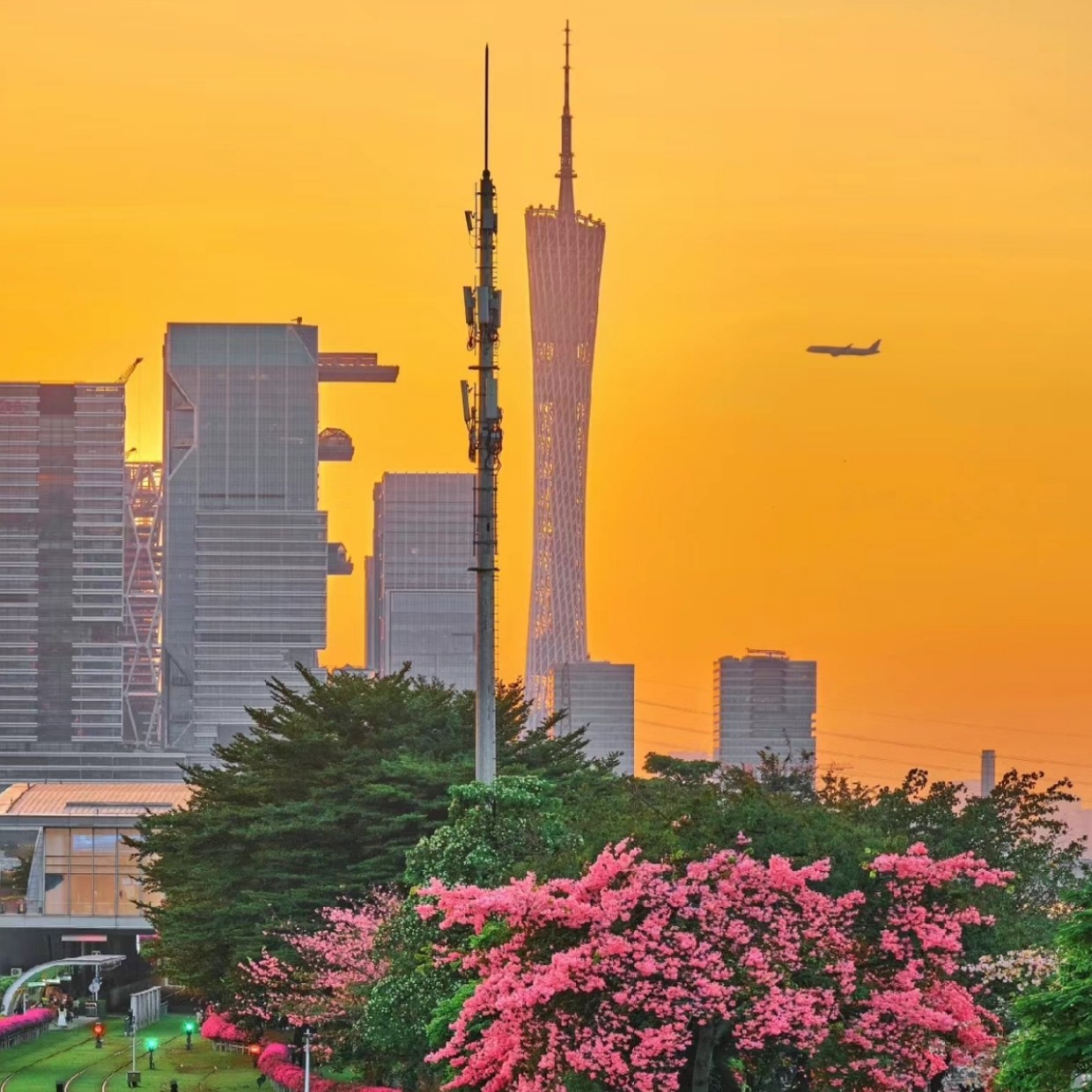 私家团【全景广州2天游】登广州塔+珠江夜游+永庆坊+北京路-住4钻