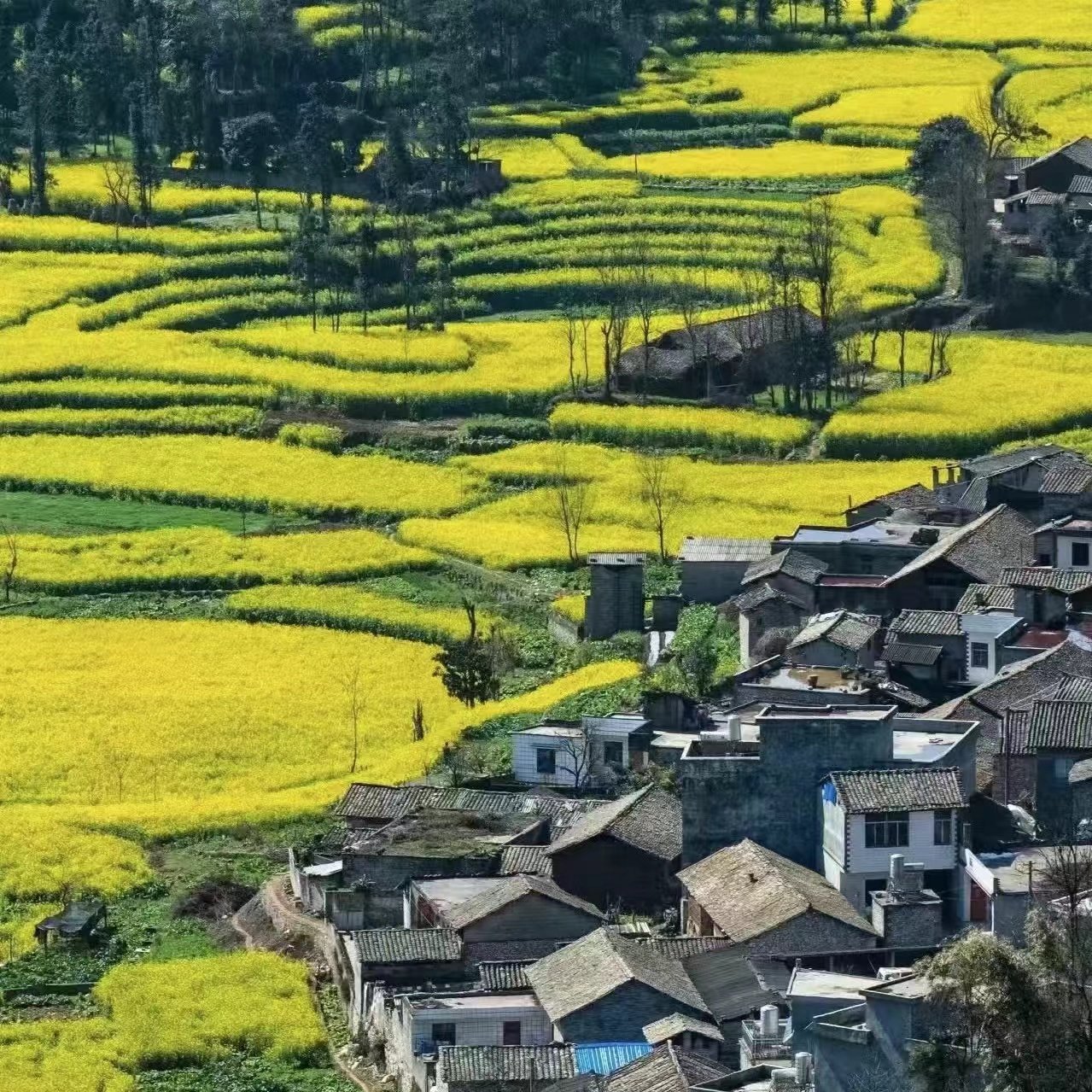 纯玩【贵州2天游】兴义马岭河峡谷+万峰林+万峰湖 含门票