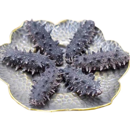 乾燥海参、大連特産 海参 48g 乾燥海参、大連特産 海参 48g - メルカリ