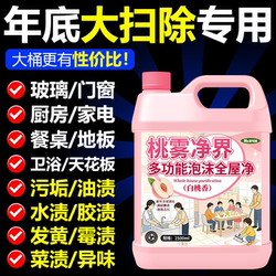 White Peach Multi-Purpose Foam Cleaner Powerful Stain Remover for Bathroom Cleaning and Whole House Cleaning and Hygiene