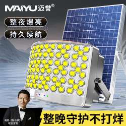 Solar Outdoor Lights 2025 New Model Household Garden Lights Rural Outdoor Waterproof High-Power Strong Light Lighting Street Lights