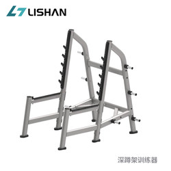 Commercial Free-Standing Squat Rack, Gantry Rack, Bench Press Rack, Barbell Rack, Professional Gym Fitness Equipment